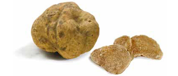 Tartufo bianco pregiato