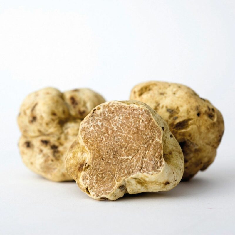 Tartufo bianco fresco