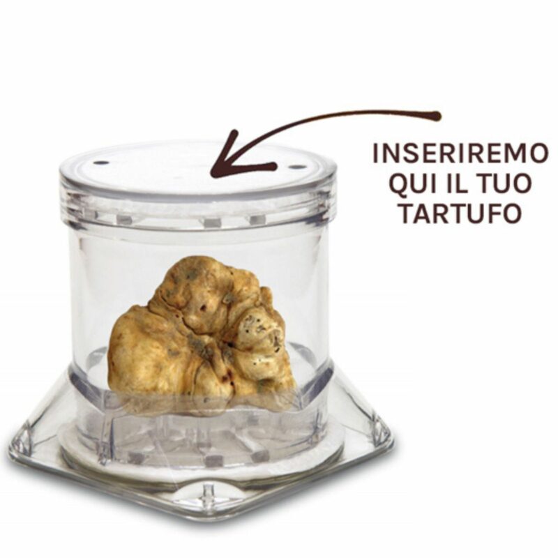 Tartufo bianco fresco 2