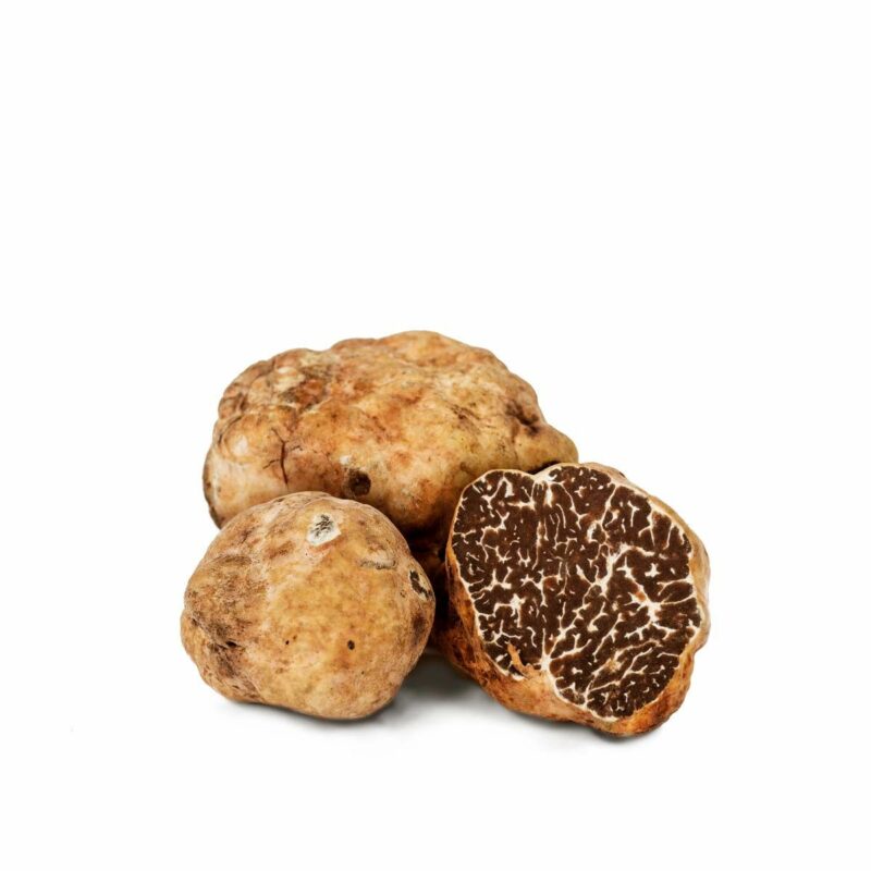 Tartufo bianchetto fresco