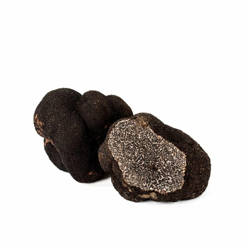 Tartufo nero pregiato