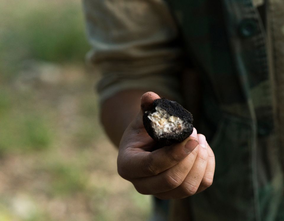 Come pulire il tartufo