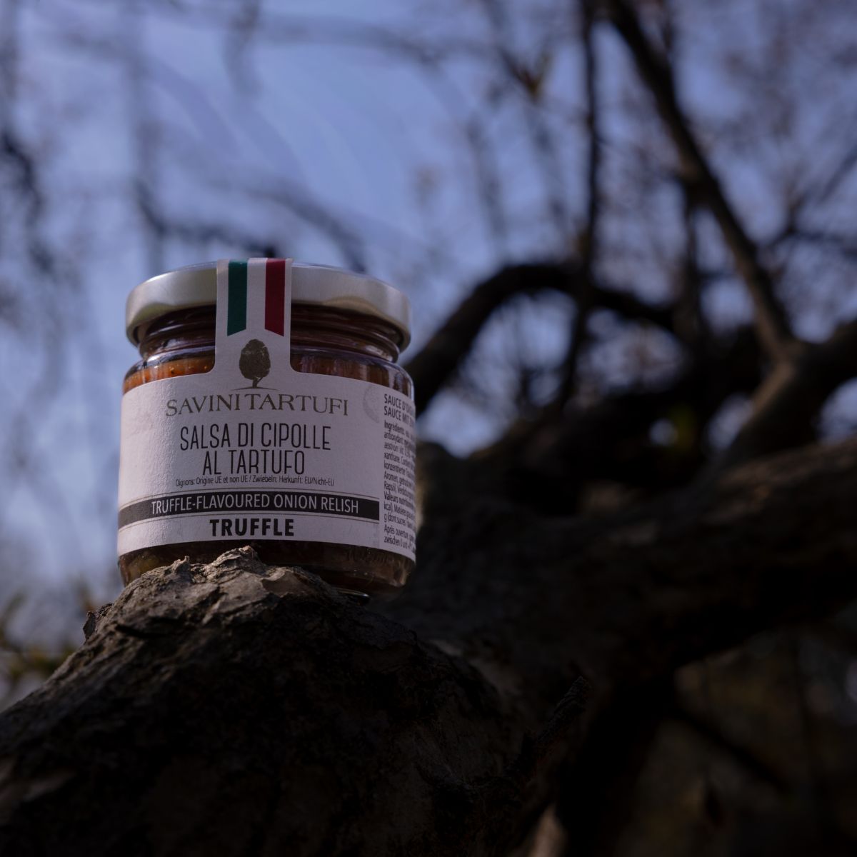 Salsa di cipolle al tartufo - immagine 3
