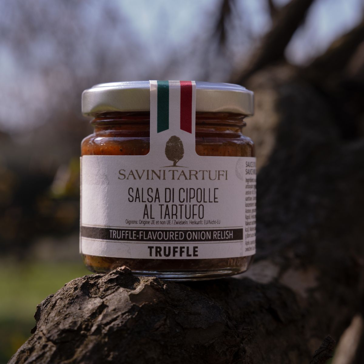 Salsa di cipolle al tartufo - immagine 4