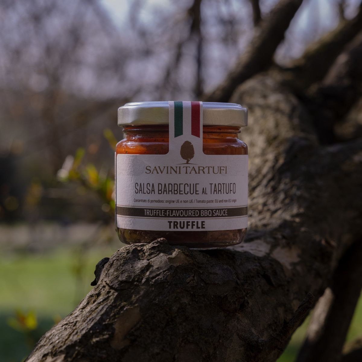 Salsa barbecue al tartufo - immagine 3